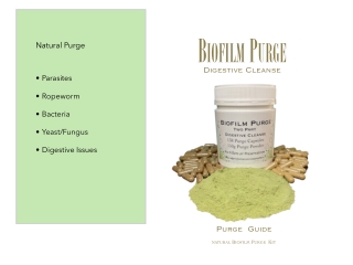Biofilm Purge Digestive Cleanse Guide