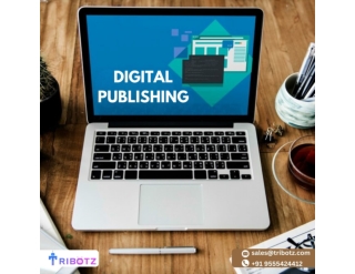 What's the difference between digital publishing solutions?