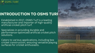 Top Cricket Turf Manufacturer in Delhi  OSMS Turf