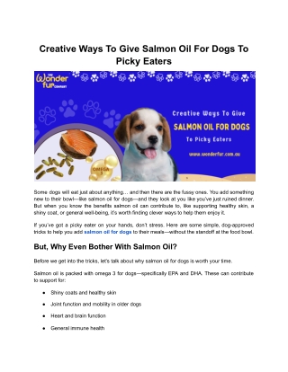Creative Ways To Give Salmon Oil For Dogs To Picky Eaters