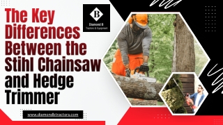 The Key  Differences  Between the  Stihl Chainsaw  and Hedge  Trimmer
