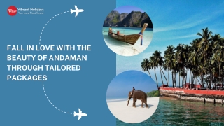 Fall in Love with the Beauty of Andaman Through Tailored Packages