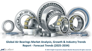 Air Bearings Market Size, Share Growth and Forecast |2025- 2034