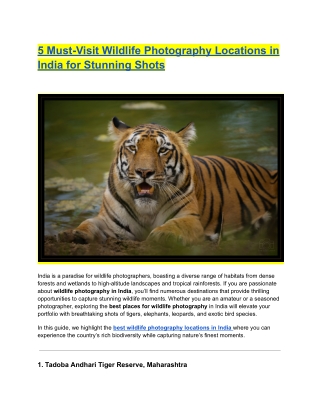 5 Must-Visit Locations for Wildlife Photography in India for Stunning Shots
