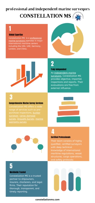 professional and independent marine surveyors Constellation MS