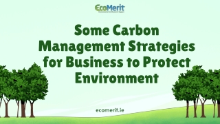 Carbon Management Strategies for Business to Protect Environment