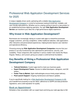 Professional Web Application Development Services  for 2025
