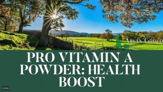 Organic Pro Vitamin A Powder: Nature’s Health Boost in Every Spoon