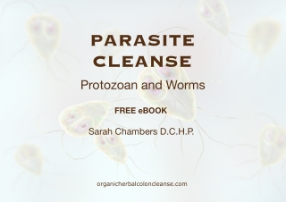 Parasite Cleanse Protozoan And Worms Free Ebook