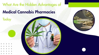 Elevated Wellness with Trusted Plant Remedies