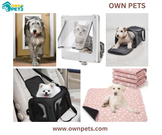 High-Quality Dog Screen Door for Fresh Air and Easy Access