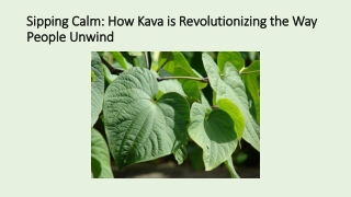 benefits of Kava drink
