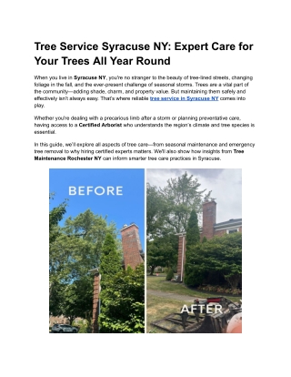 Tree Service Syracuse NY_ Expert Care for Your Trees All Year Round
