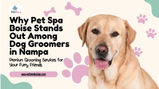 Why Pet Spa Boise Stands Out Among Dog Groomers in Nampa