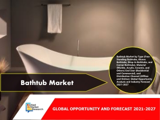Bathtub Market Report, 2025