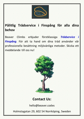 Pålitlig Trädservice i Finspång för alla dina behov