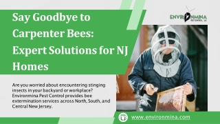 Fast Carpenter Bee Control NJ by Environmina Pest Control LLC