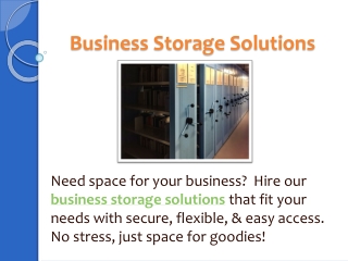 Business Storage Solutions