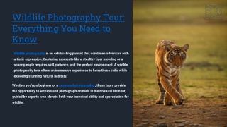 wildlife photography tour PPT