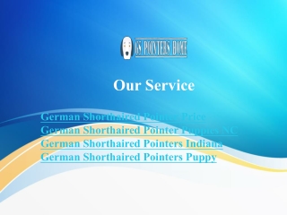 German Shorthaired Pointer Price