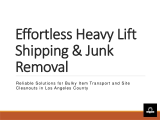 Effortless Heavy Lift Shipping & Junk Removal