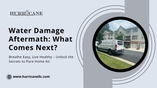 Water Damage Aftermath: What Comes Next?
