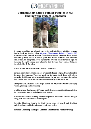 German Short haired Pointer Puppies in NC Finding Your Perfect Companion