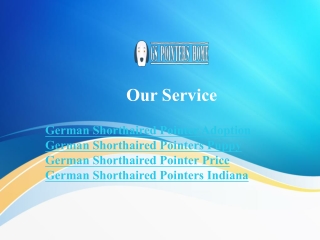 German Shorthaired Pointer Adoption