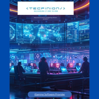 iGaming Software Provider