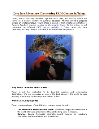 Dive Into Adventure: Discovering PADI Courses in Tulum