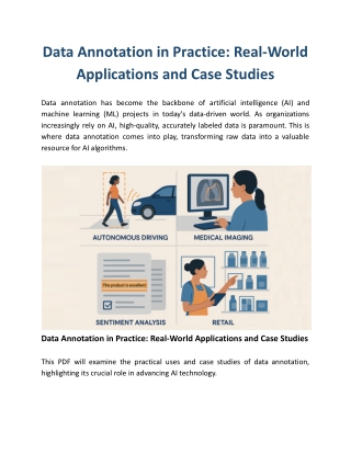 Data Annotation in Practice: Real-World Applications and Case Studies