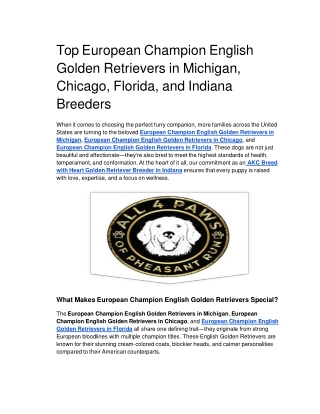 Top European Champion English Golden Retrievers in Michigan, Chicago, Florida, and Indiana Breeders