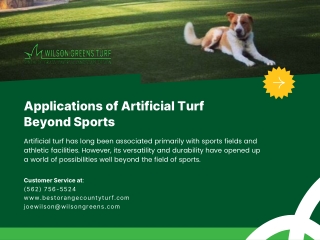 Applications of Artificial Turf Beyond Sports