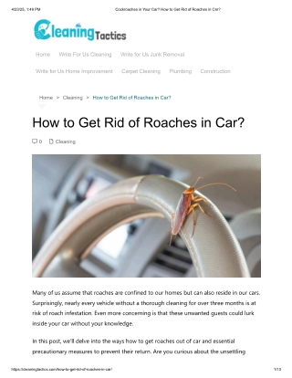 How to Get Rid of Roaches in Car