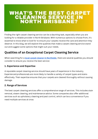 What’s the Best Carpet Cleaning Service in North Brisbane