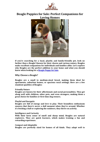 Beagle Puppies for Sale Perfect Companions for Loving Homes