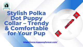 Stylish Polka Dot Puppy Collar – Trendy & Comfortable for Your Pup