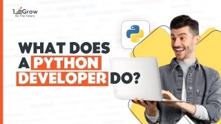 What Does A Python Developer Do