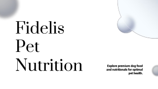 Premium Freeze Dried Beef Food for Dogs: Nutritious & Delicious