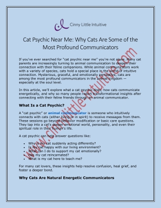Cat Psychic Near Me: Why Cats Are Some of the Most Profound Communicators
