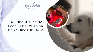 Top Health Issues Laser Therapy Can Help Treat in Dogs