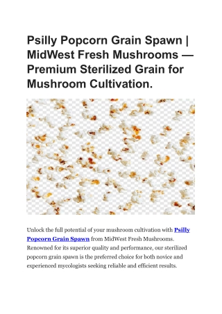 Psilly Popcorn Grain Spawn | MidWest Fresh Mushrooms.