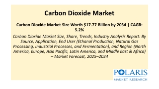 Carbon Dioxide Market