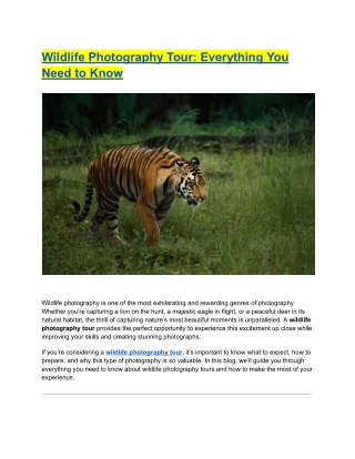 Wildlife Photography Tour