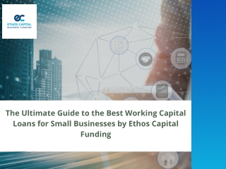 The Ultimate Guide to the Best Working Capital Loans for Small Businesses