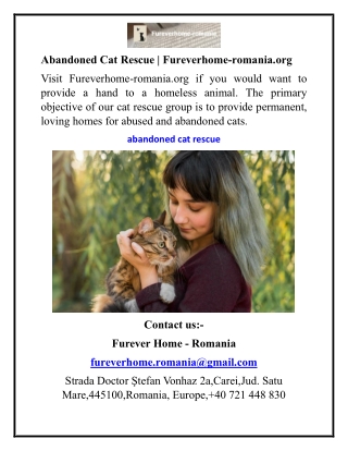 Abandoned Cat Rescue  Fureverhome-romania.org