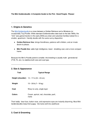 Mini Goldendoodle