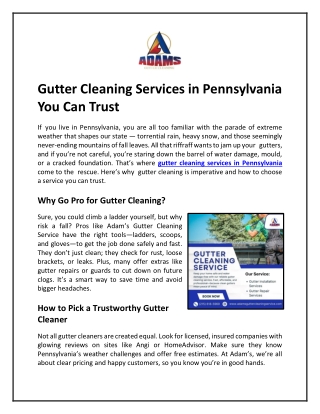 Gutter Cleaning Services in Pennsylvania You Can Trust