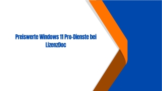 Preiswerte Windows 11 Pro-Dienste bei LizenzDoc