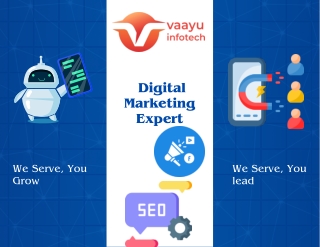 Vaayu Infotech - Trusted IT & Digital Marketing Services